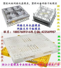 青岛pp双层卡板模具厂家