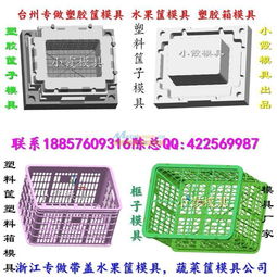 台州塑料模具 甜瓜篮模具哪里做的好